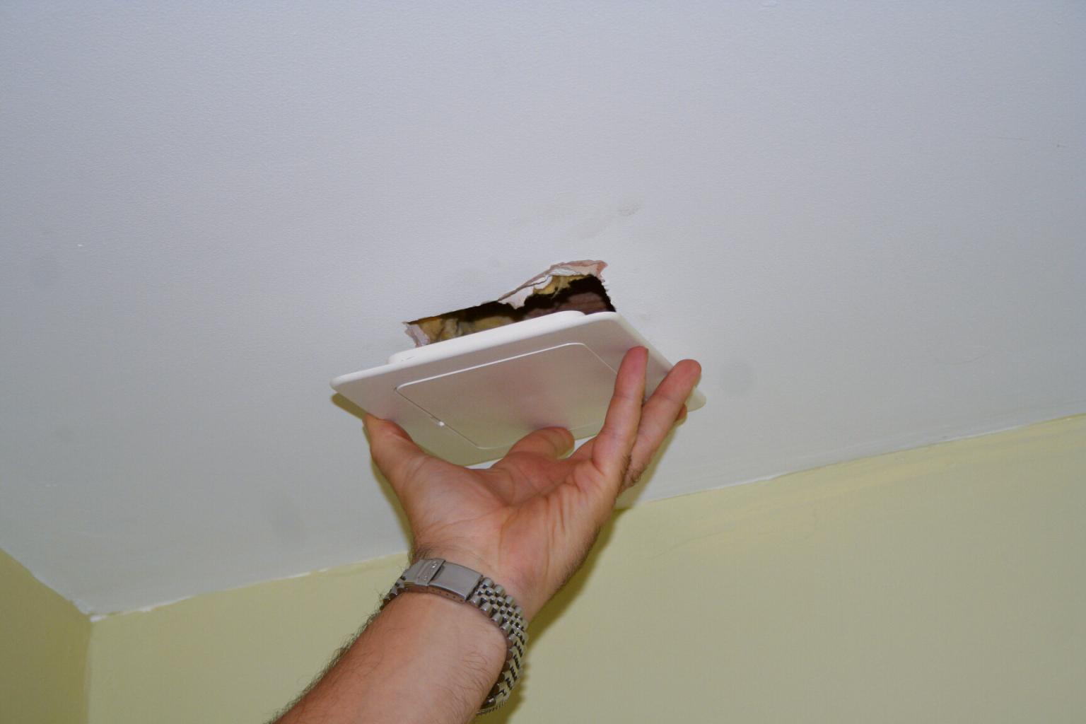 Plastic Access Panel