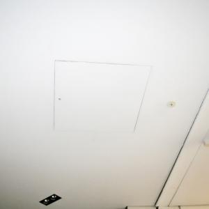IMG 6913
